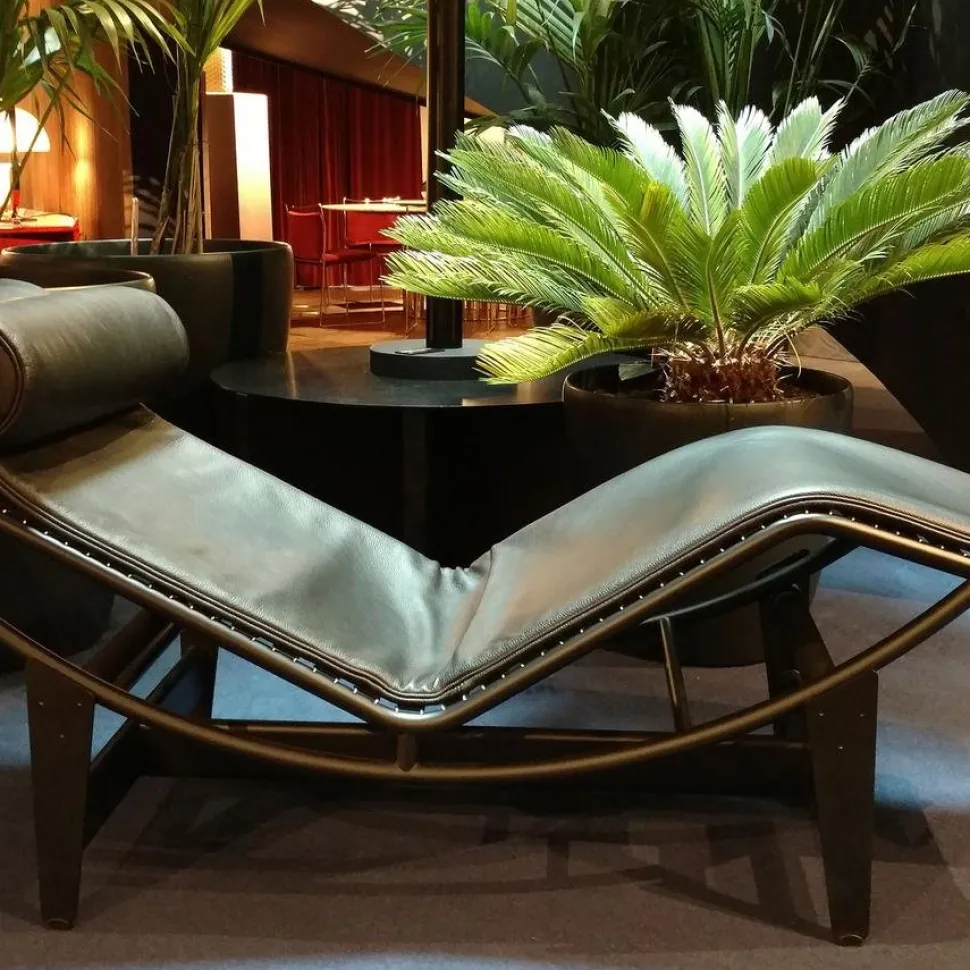 4 Chaise longue à reglage continu