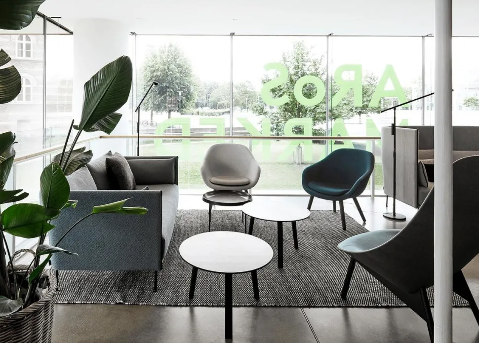 About A Lounge Chair Low AAL 82
