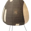Akari 1AG