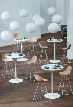 Brio Tisch