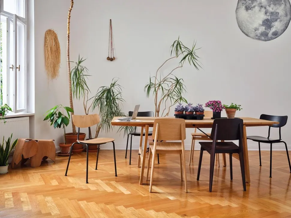 Chaise Tout Bois