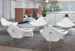 Coconut Chair