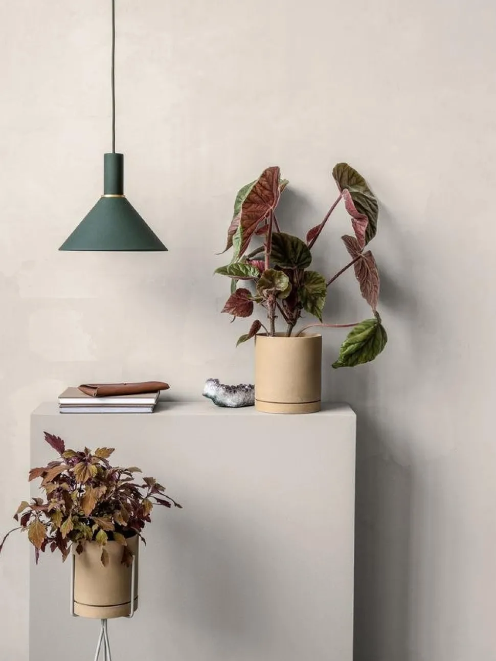 Collect Lighting