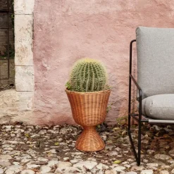 Desert 1-Seater