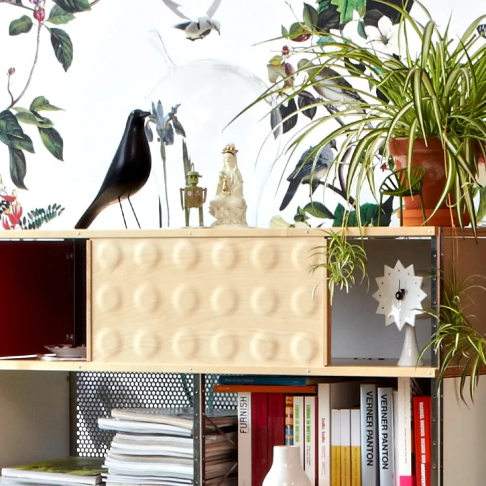 Eames House Bird