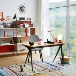 Eames House Bird