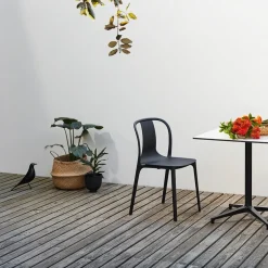 Eames House Bird