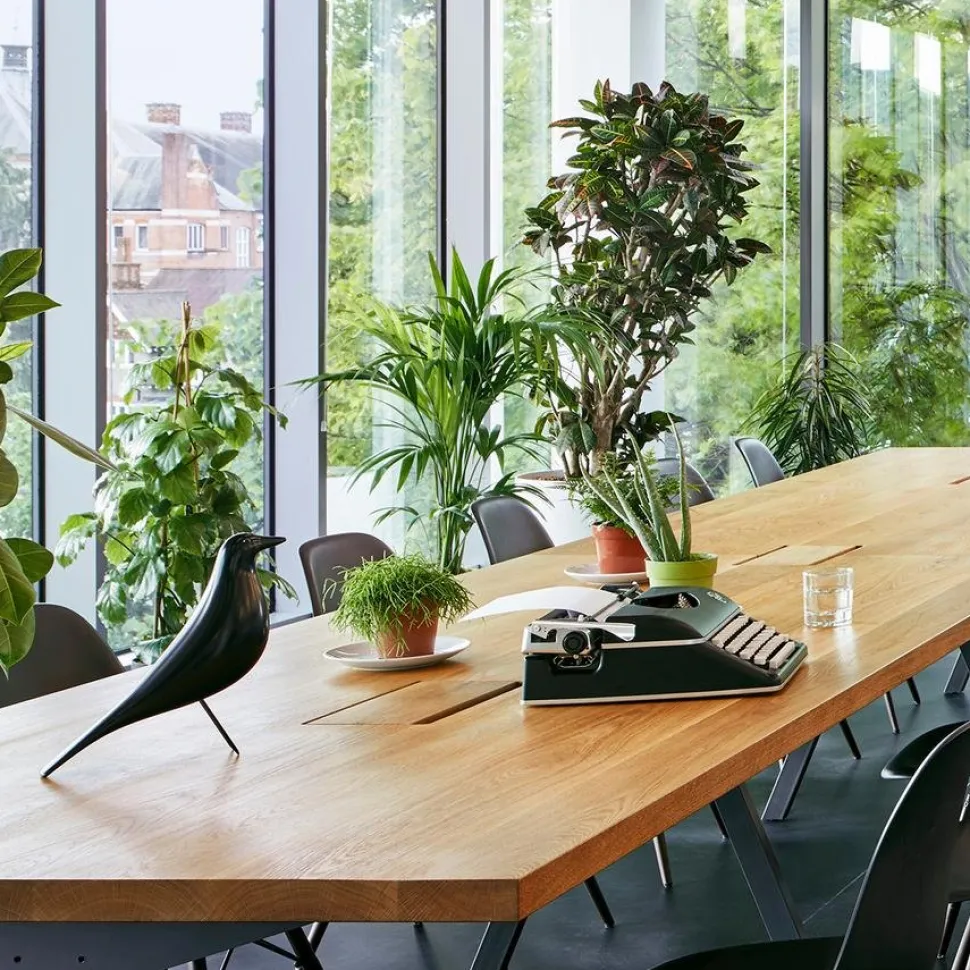 Eames House Bird