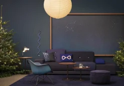 Eames Plastic Armchair RE LAR