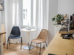 Eames Plastic Side Chair RE DSS / DSS-N