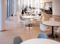 Eames Plastic Side Chair RE DSS / DSS-N