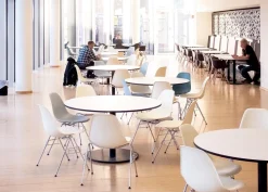 Eames Plastic Side Chair RE DSS / DSS-N