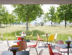Eames Plastic Side Chair RE DSX
