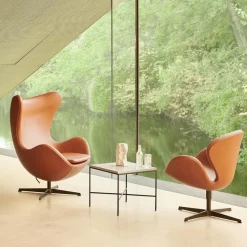 Egg Chair