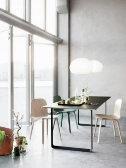 Fluid Pendant Lamp