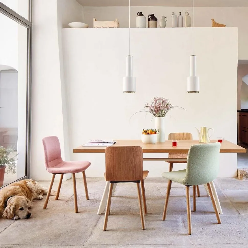 HAL Ply Wood