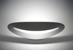 Mesmeri