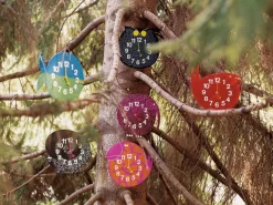 Omar the Owl