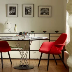 Organic Chair