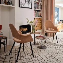 Organic Chair