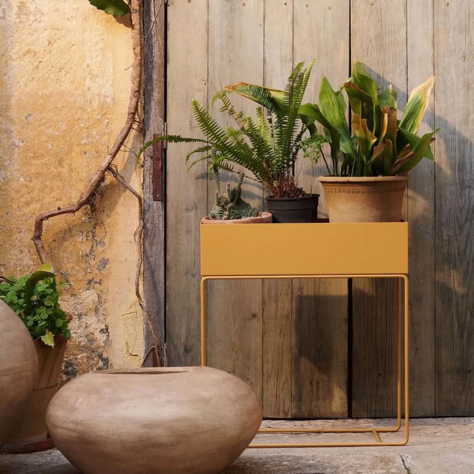 Plant Box H 65