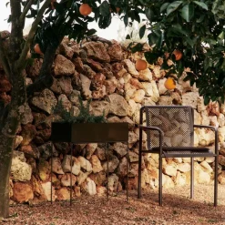 Plant Box H 65