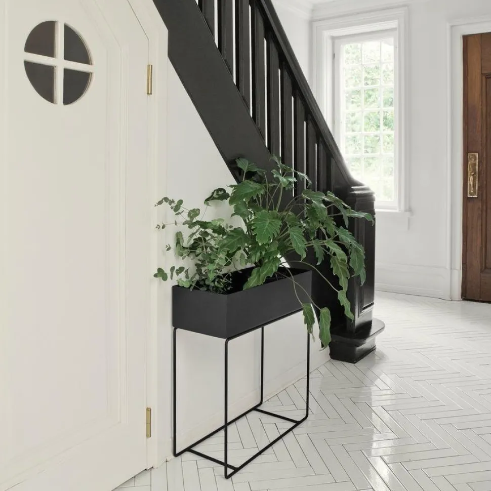 Plant Box H 65