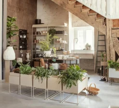 Plant Box H 45