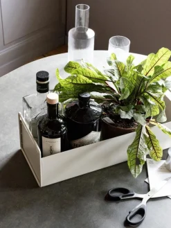 Plant Box Small