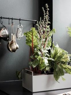 Plant Box Small