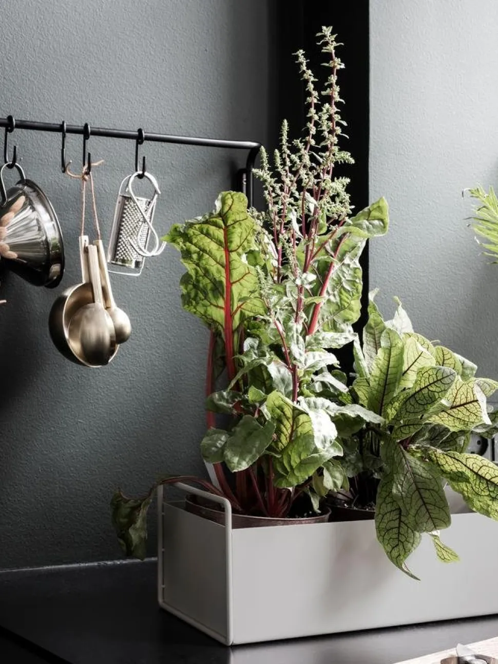 Plant Box Small