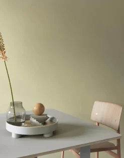 Platform Tray