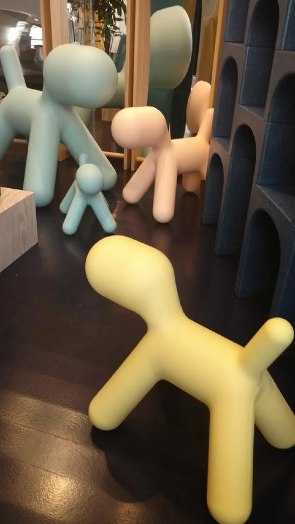 Puppy