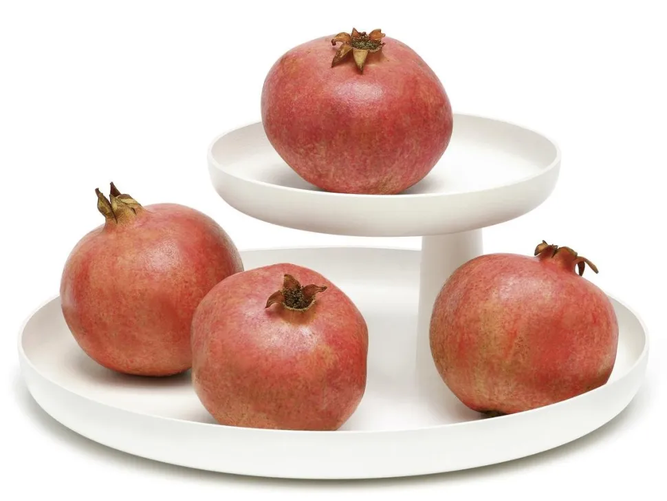 Rotary Tray
