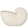 Shell Pot