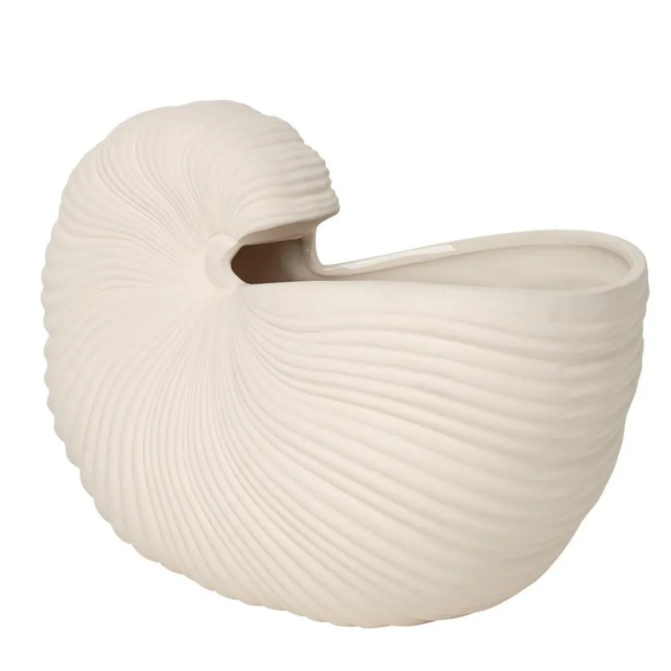 Shell Pot