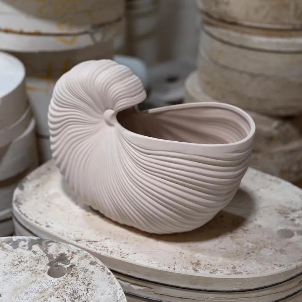 Shell Pot