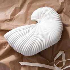 Shell Pot