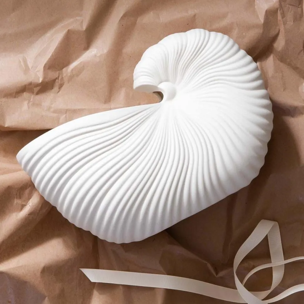 Shell Pot