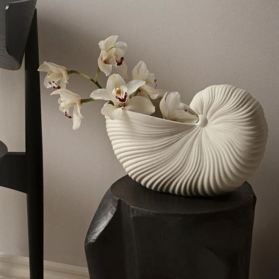 Shell Pot