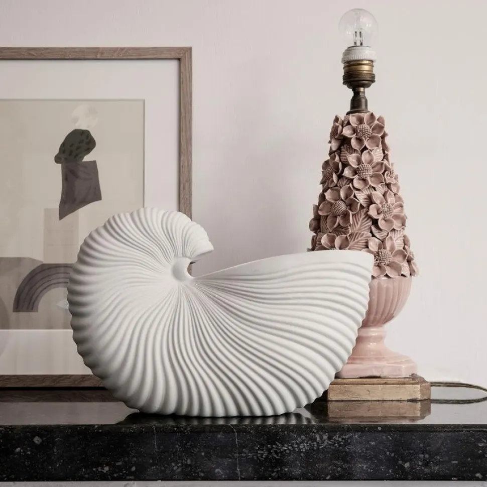 Shell Pot