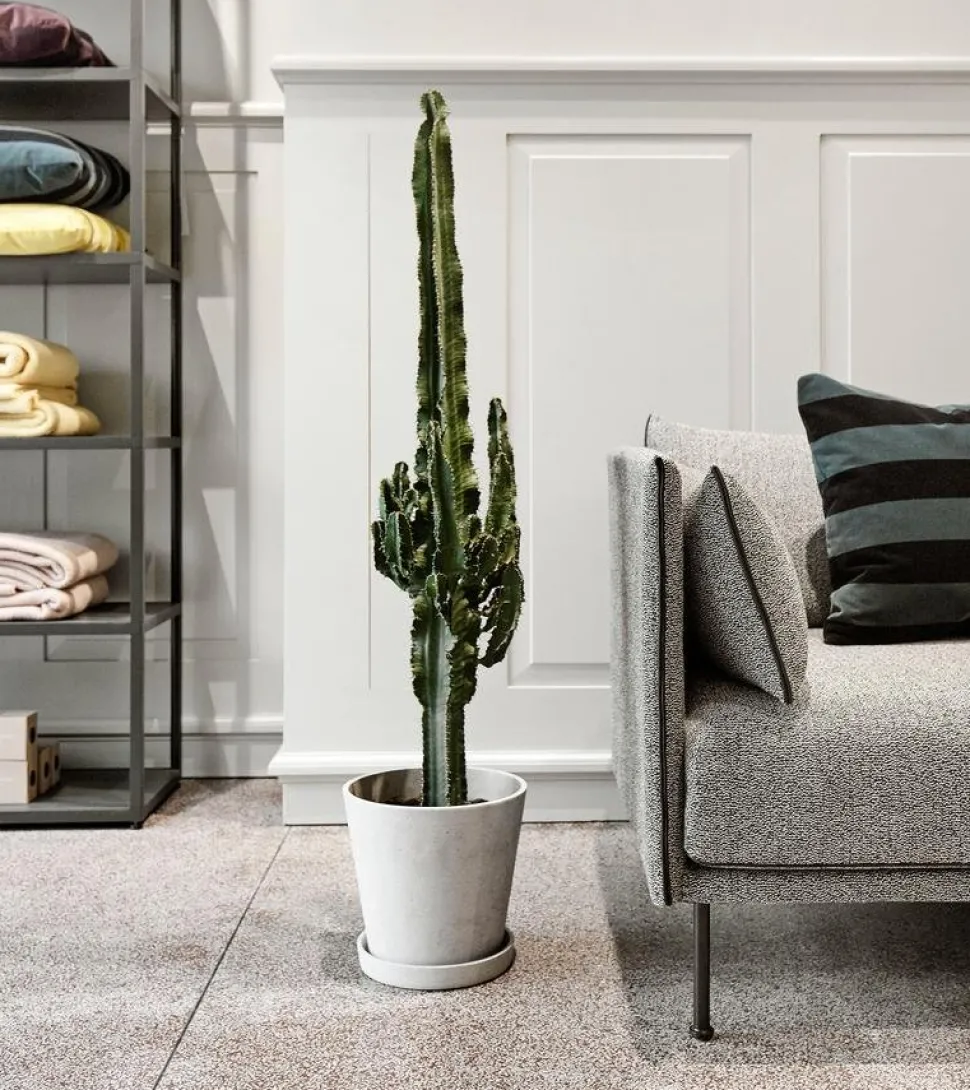 Silhouette Sofa