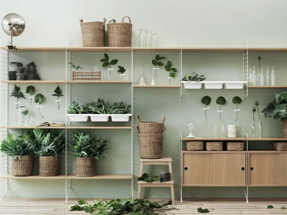 String System Bowl Shelf