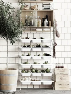 String System Bowl Shelf