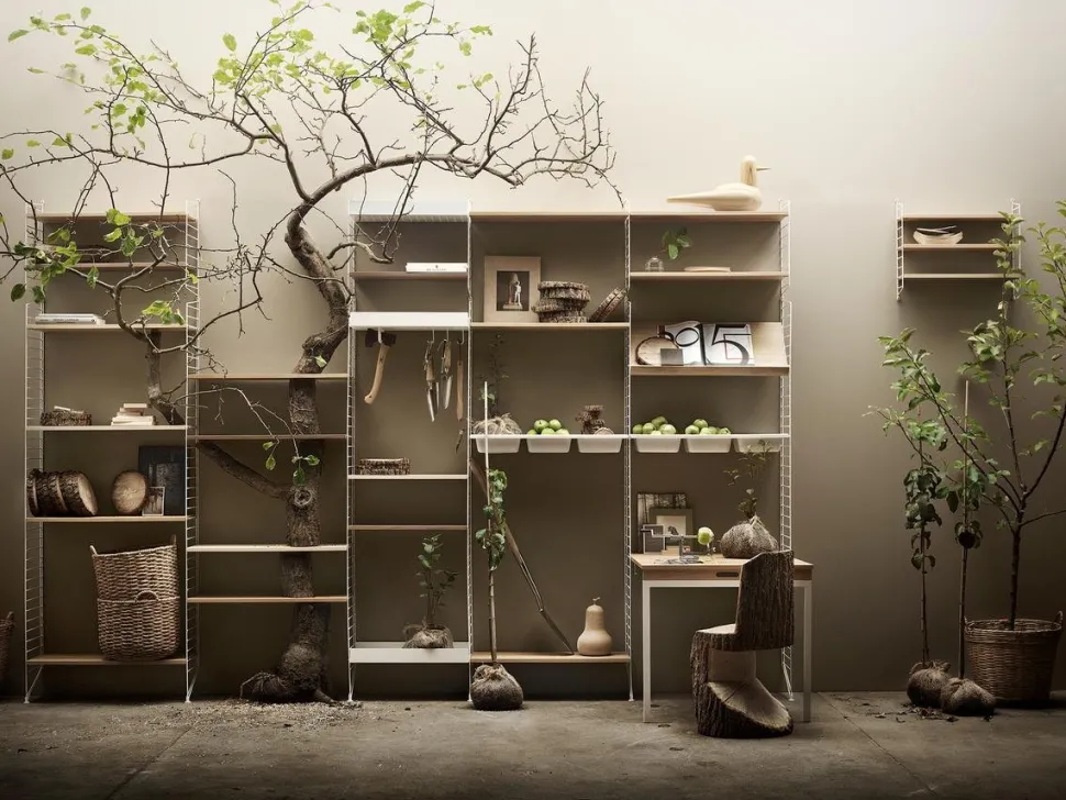 String System Bowl Shelf
