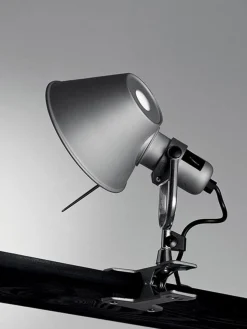 Tolomeo Pinza