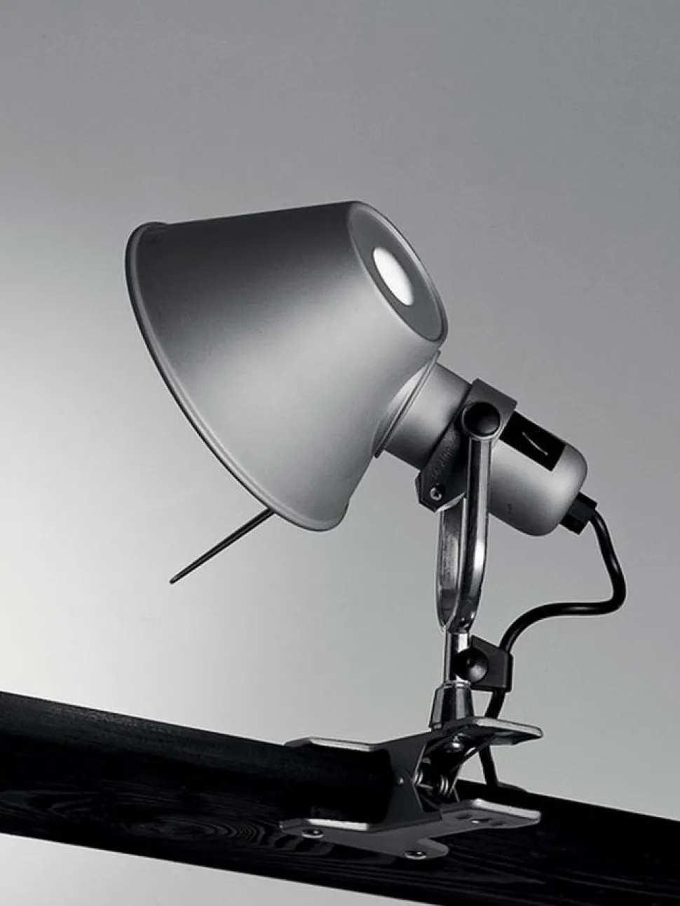 Tolomeo Pinza