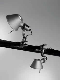 Tolomeo Pinza