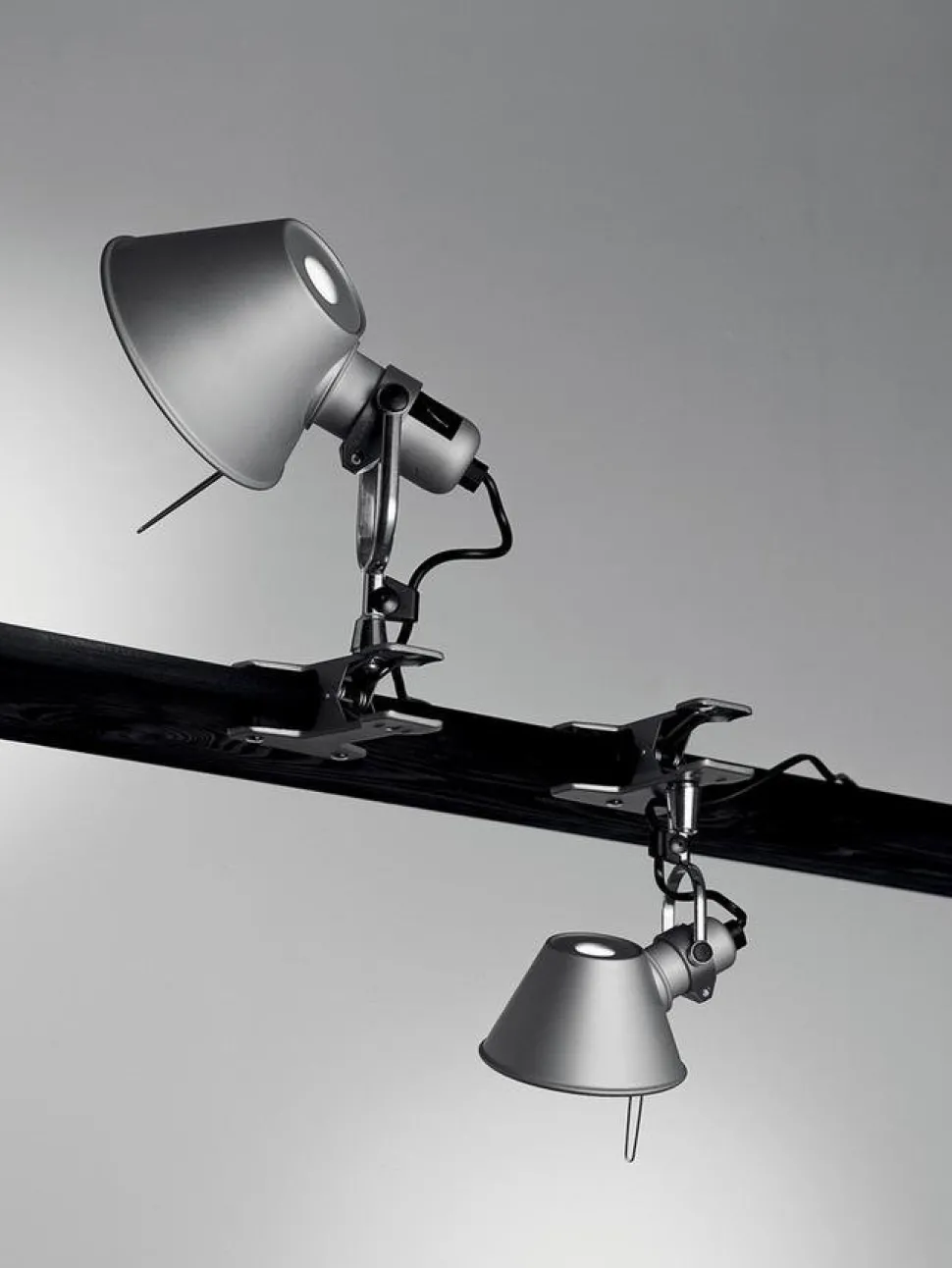 Tolomeo Pinza