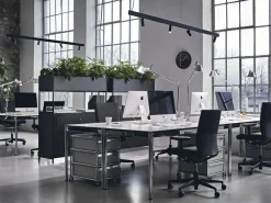 Tolomeo Tavolo